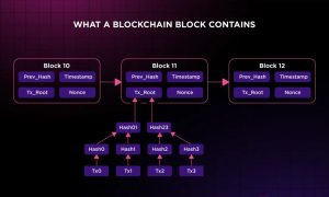 فناوری بلاکچین چیست و چگونه کار میکند؟ 6 بلاکچین چگونه کار میکند؟